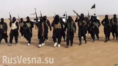Боевики ИГИЛ приближают собственный конец — Daily Express