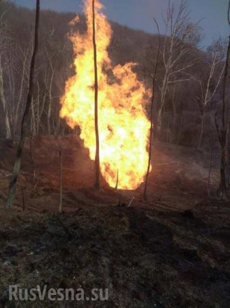 Огромный огненный столб: в Закарпатье взорвался газопровод (ВИДЕО, ФОТО)