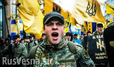Украина начинает Новый Год с факельного шествия в честь международного террориста Бандеры