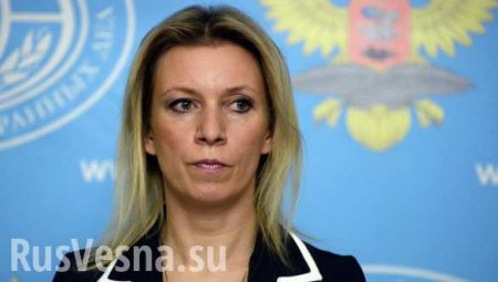 МИД РФ возмущен попытками Анкары обвинить Россию в гибели сирийских беженцев