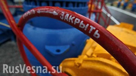Шантажируя Евросоюз повышением цены транзита газа, Киев «ходит по краю пропасти», — депутат ДНР