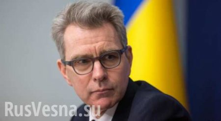 Посол США отчитал Украину за создание «фабрики троллей» и «Минправды»