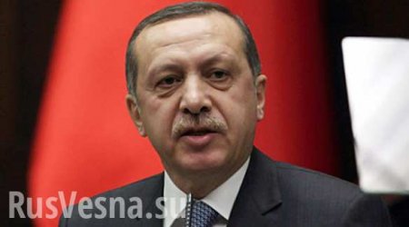 Эрдоган просит о встрече с Путиным после инцидента с самолетом
