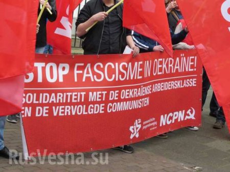 Голландцы на митинге против Украины (ФОТО)