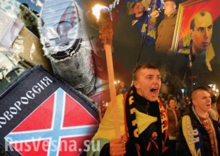 День Независимости ДНР: два года войны с нацистами. Был ли выбор?