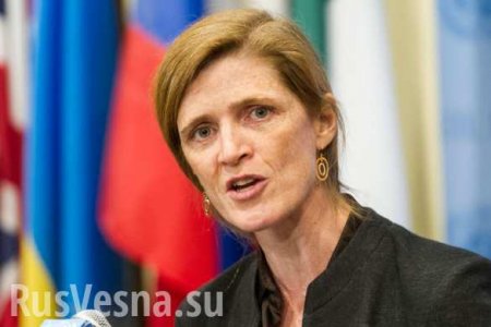 Предоставление Украине летального оружия станет катастрофой, — представитель США в ООН