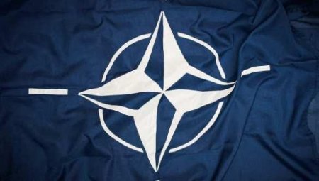 Focus: Украина ошиблась, поверив в возможность стать членом НАТО