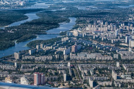 Свинополис: Киев превращается в хутор с овцами и индюками (ФОТОРЕПОРТАЖ)