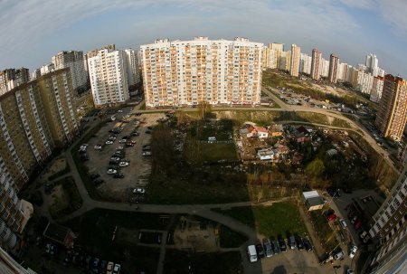 Свинополис: Киев превращается в хутор с овцами и индюками (ФОТОРЕПОРТАЖ)