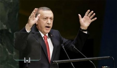В Германии суд признал допустимым называть Эрдогана «трусливым дураком»