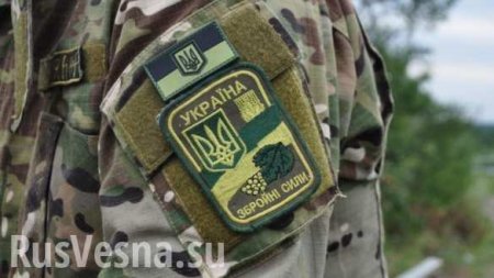 Двое украинских военнослужащих сдались в плен ДНР