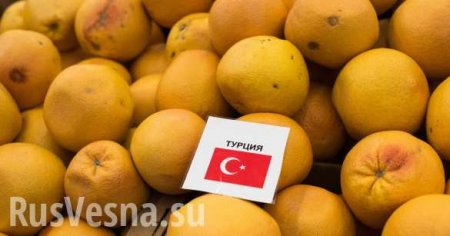Экспорт турецкой продукции в Россию за четыре месяца снизился на 60%