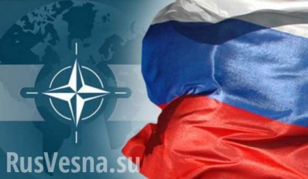 НАТО разыгрывает роль «загнанной в угол безобидной овцы», — Минобороны РФ