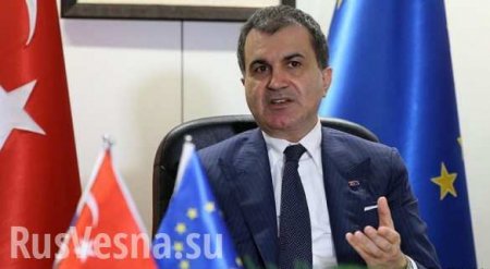 Турецкий министр обвинил посла ЕС в оскорблении страны и президента