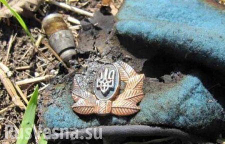 Небоевые потери ВСУ за неделю составили 4 человека убитыми и 9 ранеными — Народная милиция ЛНР