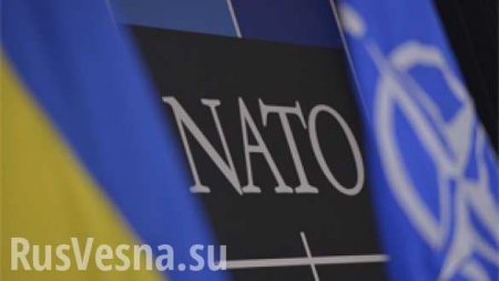 Генерал НАТО проинспектировал Минобороны Украины