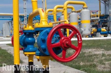Украина назвала «реальную цену» российского газа