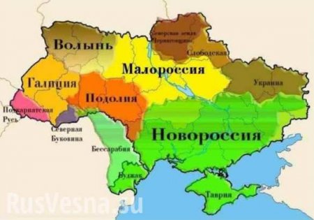 Соединенные Штаты Украины