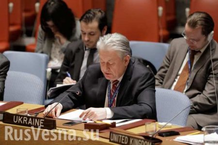 Украина пожаловалась на Путина в ООН