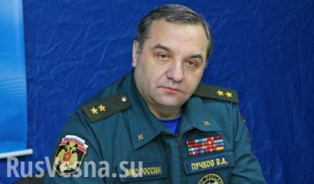 Сообщения СМИ о возможной отставке главы МЧС Песков назвал спекуляциями