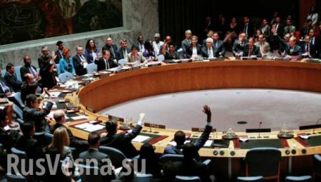 ООН как последний рубеж обороны сирийских террористов (ФОТО, ВИДЕО)