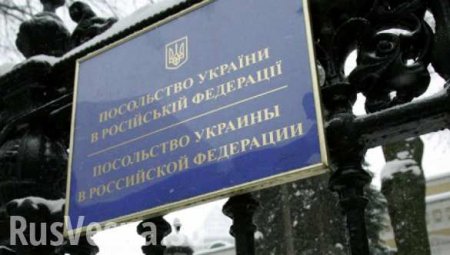 Консульство Украины в Петербурге забросали костями (ФОТО, ВИДЕО 18+)
