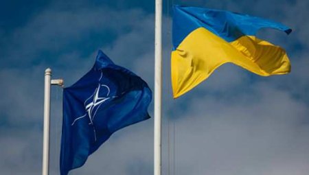 Украинские военные едут в Грузию на учения НАТО