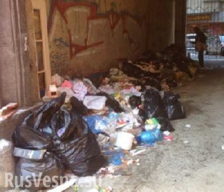 Почти Европа: центральные улицы Львова заполнены мусором (ФОТО)