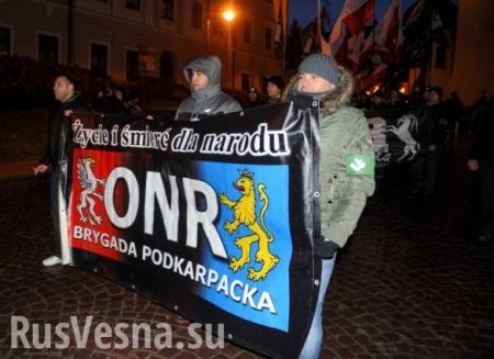 Укарина обозлена и требует ответа от Польши за антиукраинский марш