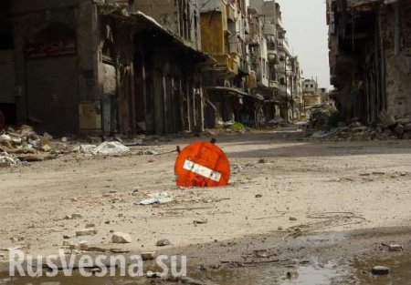 Прекращение огня в Сирии подтверждает статус России как миротворца