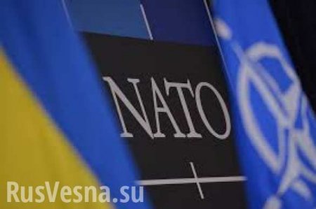 «Киеву необходимо самоисключиться из геополитической борьбы», — советник Киссинджера