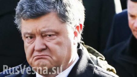 Экс-замглавы Генпрокуратуры Украины призвал СБУ возбудить дело о госизмене против Порошенко (ВИДЕО)