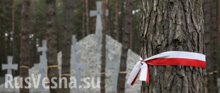 Посол Украины вызван в МИД Польши в связи с осквернением польского кладбища
