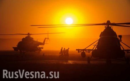 Командующего литовскими ВВС уволили за ремонт вертолетов в России
