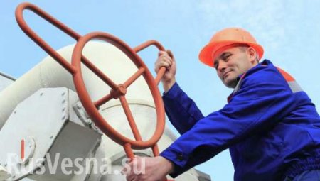 Россия и Словения в ближайшее время продлят контракт по газу