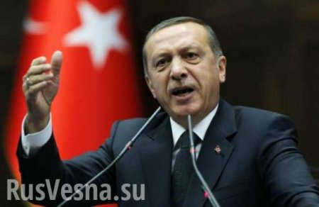 Эрдоган назвал конечную цель операции Турции в Сирии