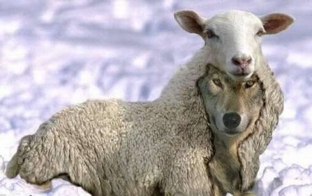 В Евросоюзе начали понимать, что Порошенко — это «волк в овечьей шкуре»