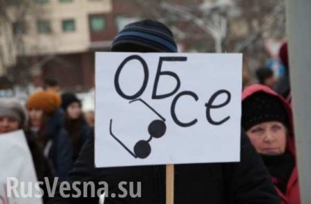 Донецк протестует против «слепых» наблюдателей ОБСЕ (ФОТО, ВИДЕО)