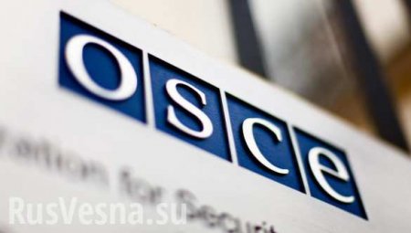Киев возмущен докладом миссии ОБСЕ