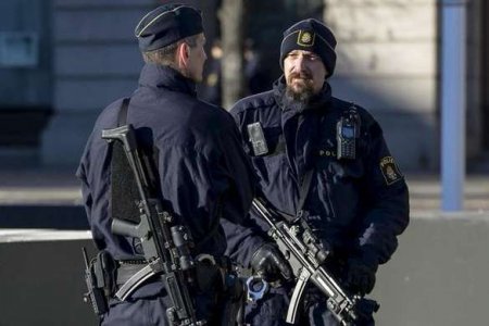 В полиции Стокгольма признали, что перед беспорядками стреляли на поражение