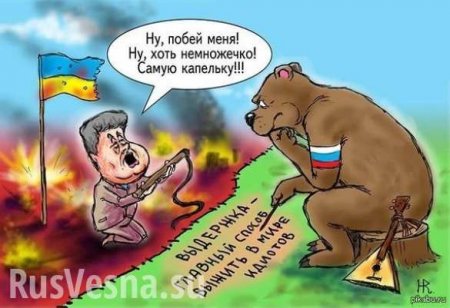 В Совфеде высмеяли заявление Порошенко о «войне с Россией»