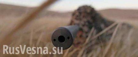Снайпер ДНР уничтожил украинского морпеха (ВИДЕО)