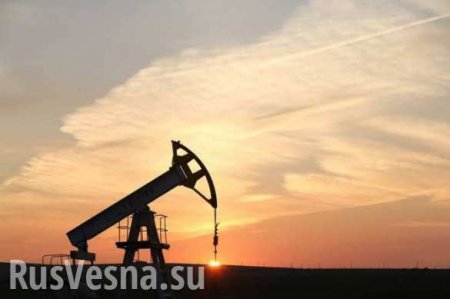 Британская компания начала добычу нефти во Львовской области