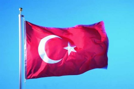 МИД Турции попросил посла Нидерландов не возвращаться в страну после отпуска