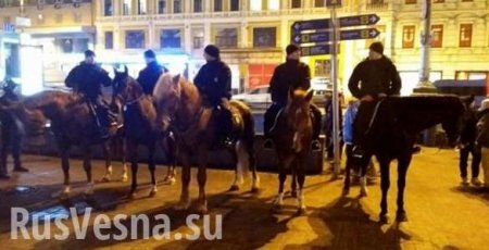 Полицейская конница направлена для охраны магазинов «Рошен» в Киеве (ФОТО)