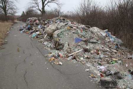 Львовский мусор добрался до Киева (ФОТО)