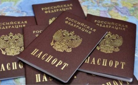 Рекордное число украинцев получили гражданство России в 2016 году