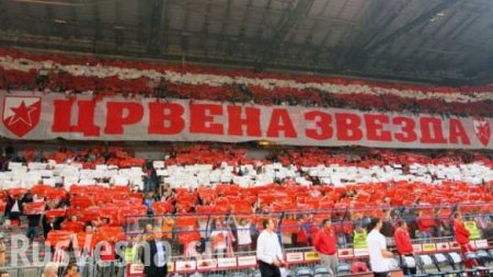 Многотысячный хор: сербские и российские футбольные болельщики спели «Катюшу» (ВИДЕО)