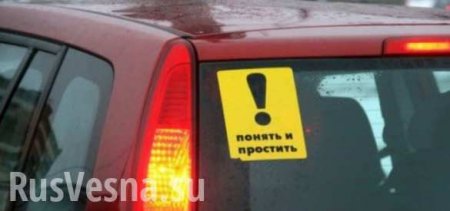 В России ввели ограничения для начинающих водителей