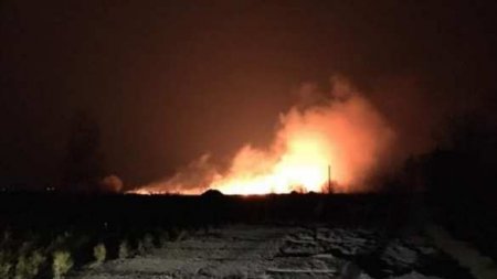 В Киевских болотах на Осокорках опять масштабный пожар